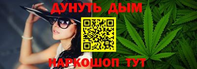 крисы Лесосибирск