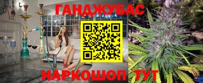 крисы Лесосибирск