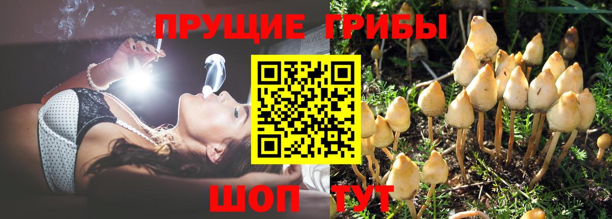 Псилоцибиновые грибы Cubensis  Псилоцибиновые грибы мухоморы  дарнет шоп  Клин  Вход с VPN 